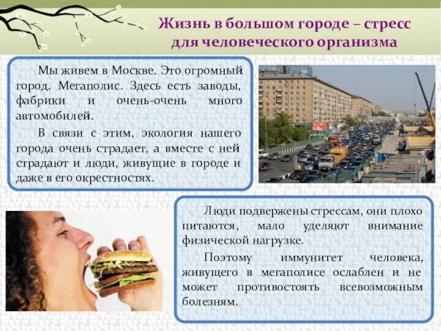 Жизнь в большом городе – стресс для человеческого организма Мы живем в