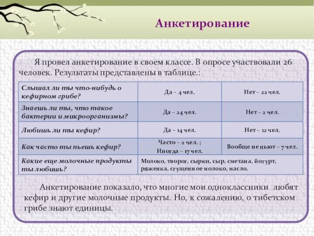 Анкетирование Я провел анкетирование в своем классе. В опросе участвовали 26 человек.