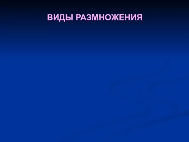 ВИДЫ РАЗМНОЖЕНИЯ