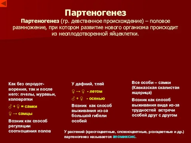 Партеногенез Партеногенез (гр. девственное происхождение) – половое размножение, при котором развитие нового