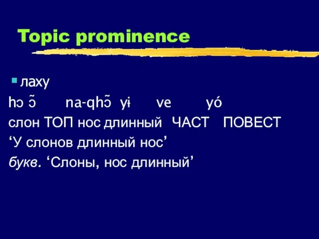 Topic prominence лаху hɔ ɔ̃ na-qhɔ̃ yɨ ve yó слон ТОП нос