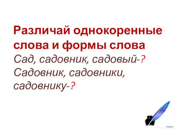 Различай однокоренные слова и формы слова Сад, садовник, садовый-? Садовник, садовники, садовнику-?