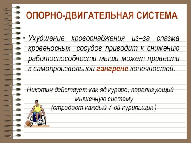 ОПОРНО-ДВИГАТЕЛЬНАЯ СИСТЕМА Ухудшение кровоснабжения из–за спазма кровеносных сосудов приводит к снижению работоспособности