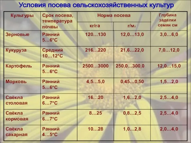 Условия посева сельскохозяйственных культур кг/га г/м2 Глубина заделки семян см