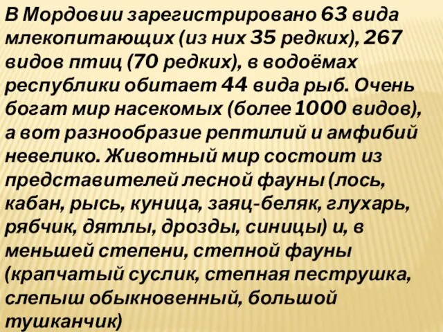 В Мордовии зарегистрировано 63 вида млекопитающих (из них 35 редких), 267 видов