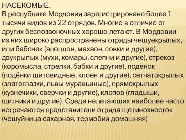 НАСЕКОМЫЕ. В республике Мордовия зарегистрировано более 1 тысячи видов из 22 отрядов.