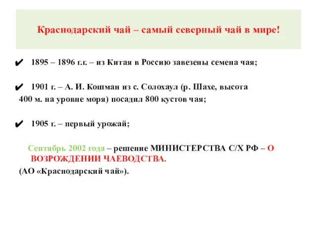 Краснодарский чай – самый северный чай в мире! 1895 – 1896 г.г.