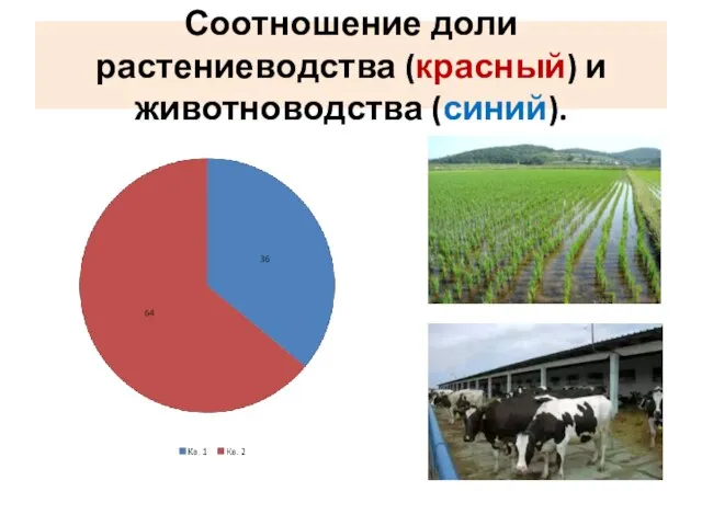 Соотношение доли растениеводства (красный) и животноводства (синий).