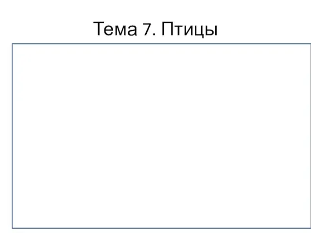 Тема 7. Птицы 1 2 3 4