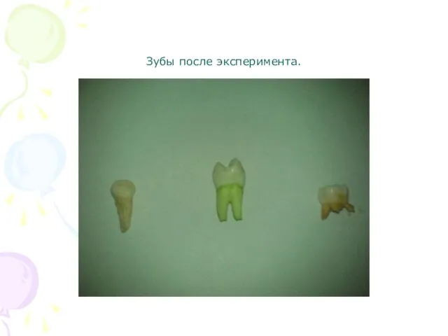 Зубы после эксперимента.