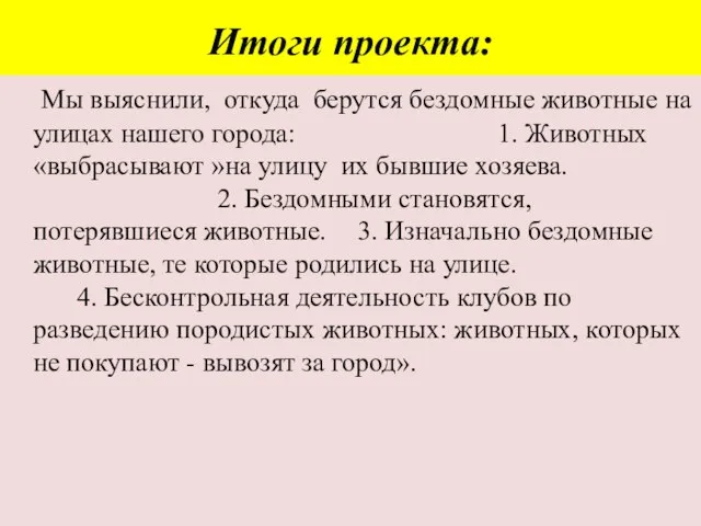 Итоги проекта: Мы выяснили, откуда берутся бездомные животные на улицах нашего города: