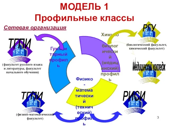 МОДЕЛЬ 1 Профильные классы Сетевая организация (факультет русского языка и литературы, факультет