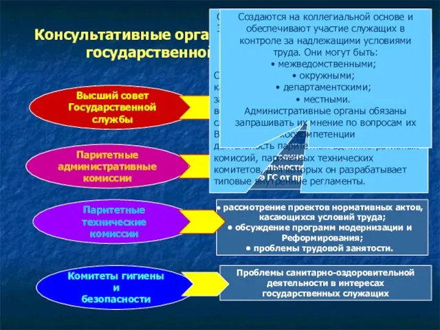 Консультативные органы в системе управления государственной службы Франции Высший совет Государственной службы