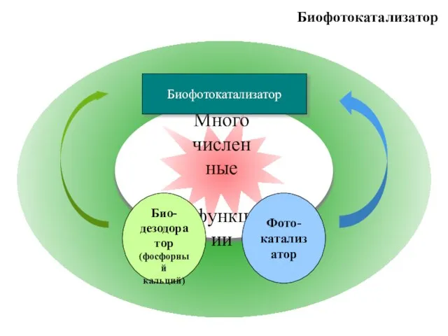 Биофотокатализатор