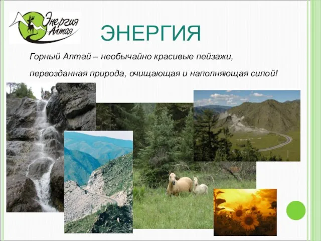 ЭНЕРГИЯ Горный Алтай – необычайно красивые пейзажи, первозданная природа, очищающая и наполняющая силой!
