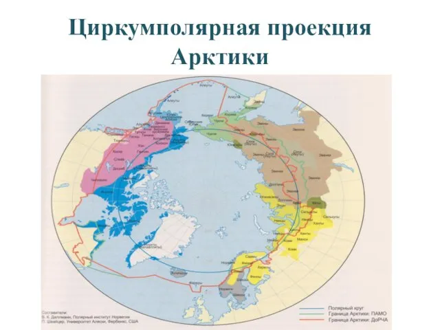 Циркумполярная проекция Арктики