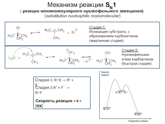 Механизм реакции SN1 ( реакции мономолекулярного нуклеофильного замещения) (substitution nucleophilic monomolecular) Стадия