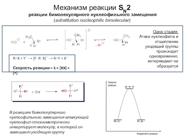 Механизм реакции SN2 реакции бимолекулярного нуклеофильного замещения (substitution nucleophilic bimolecular) Одна стадия: