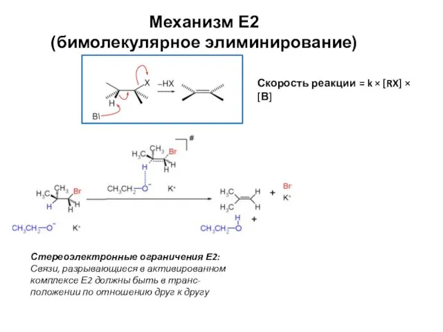 Механизм Е2 (бимолекулярное элиминирование) Скорость реакции = k × [RX] × [В]