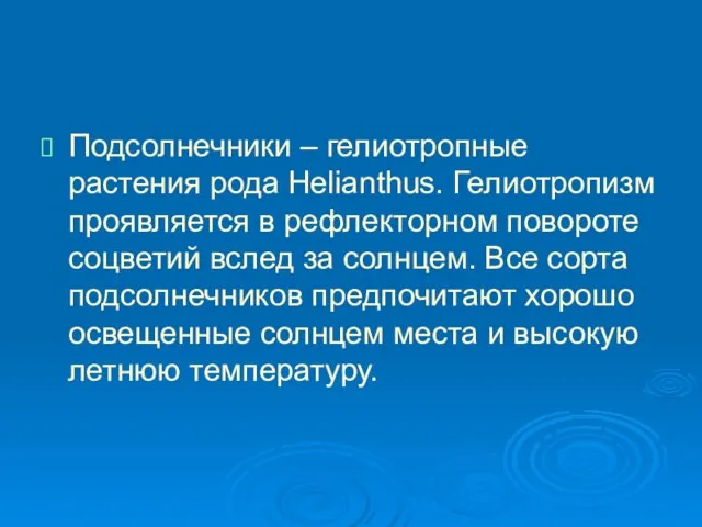 Подсолнечники – гелиотропные растения рода Helianthus. Гелиотропизм проявляется в рефлекторном повороте соцветий