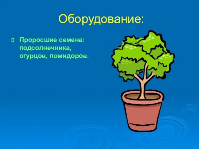 Оборудование: Проросшие семена: подсолнечника, огурцов, помидоров.