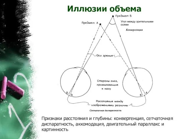 Иллюзии объема Признаки расстояния и глубины: конвергенция, сетчаточная диспаратность, аккомодация, двигательный параллакс и картинность