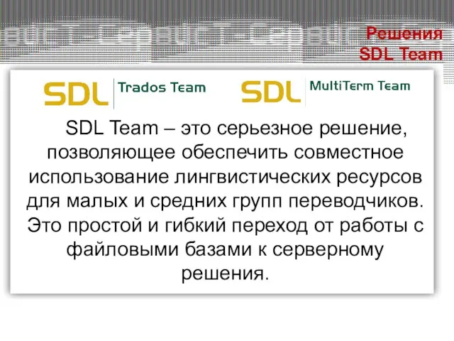 SDL Team – это серьезное решение, позволяющее обеспечить совместное использование лингвистических ресурсов