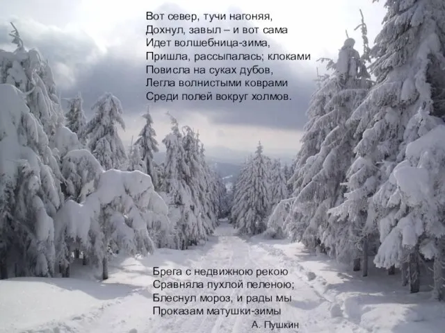 Брега с недвижною рекою Сравняла пухлой пеленою; Блеснул мороз, и рады мы