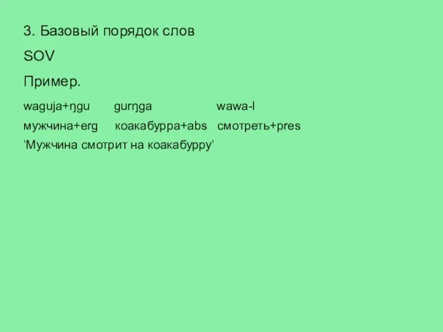 3. Базовый порядок слов SOV Пример. waguja+ŋgu gurŋga wawa-l мужчина+erg коакабурра+abs смотреть+pres ‘Мужчина смотрит на коакабурру’