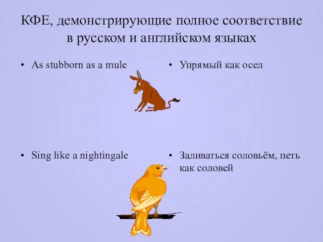 КФЕ, демонстрирующие полное соответствие в русском и английском языках As stubborn as