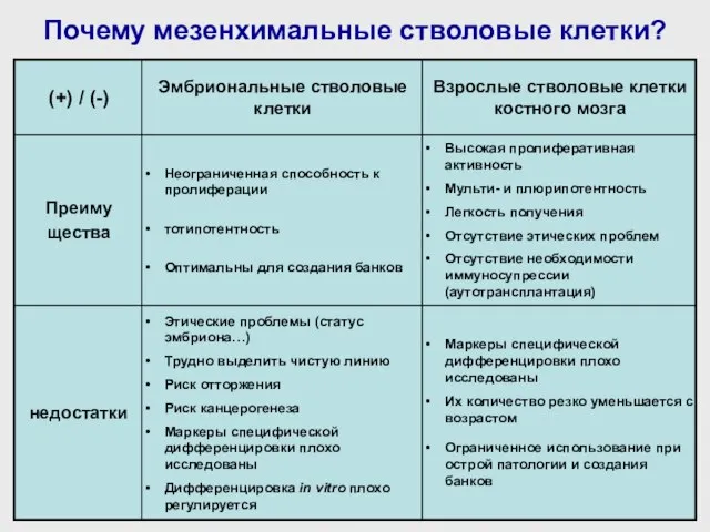 Почему мезенхимальные стволовые клетки?