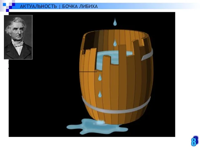АКТУАЛЬНОСТЬ | БОЧКА ЛИБИХА 8 Ю́стус фон Ли́бих