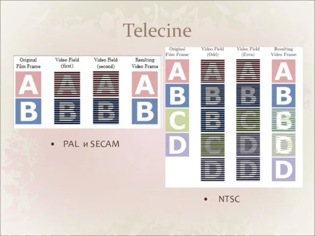 Telecine PAL и SECAM NTSC