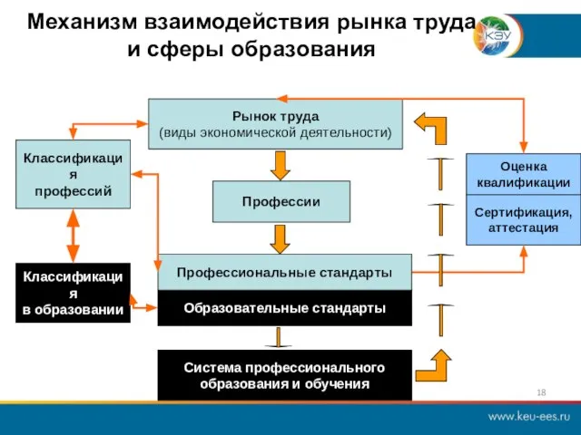 Механизм взаимодействия рынка труда и сферы образования Рынок труда (виды экономической деятельности)