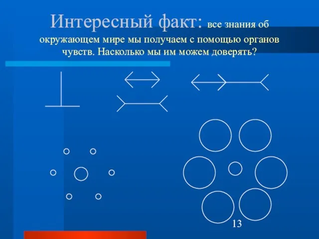 Интересный факт: все знания об окружающем мире мы получаем с помощью органов