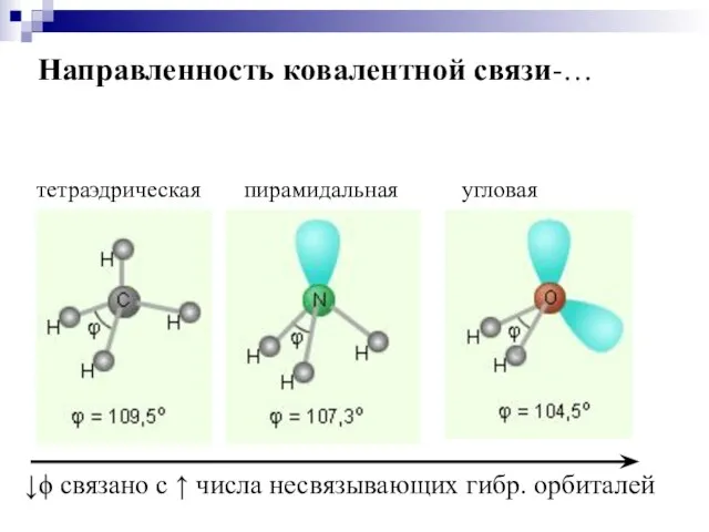 Направленность ковалентной связи-…