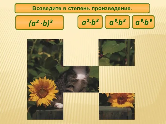 (a² ∙b)³ Возведите в степень произведение. a⁶∙b⁶ a²∙b³ a⁶∙b³