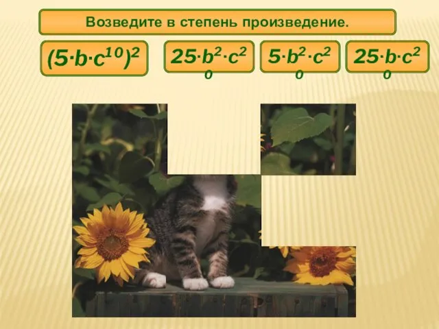 Возведите в степень произведение. 25∙b∙c²⁰ 25∙b²∙c²⁰ 5∙b²∙c²⁰ (5·b∙c¹⁰)²