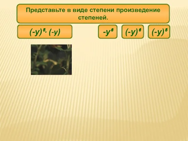 (-y)⁵∙ (-y) Представьте в виде степени произведение степеней. (-y)⁵ -y⁶ (-y)⁶