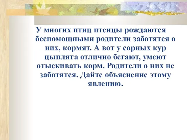 У многих птиц птенцы рождаются беспомощными родители заботятся о них, кормят. А