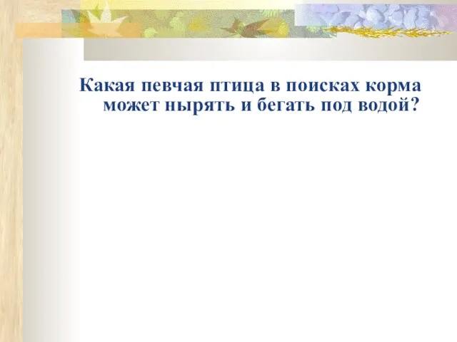 Какая певчая птица в поисках корма может нырять и бегать под водой?