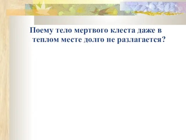 Поему тело мертвого клеста даже в теплом месте долго не разлагается?