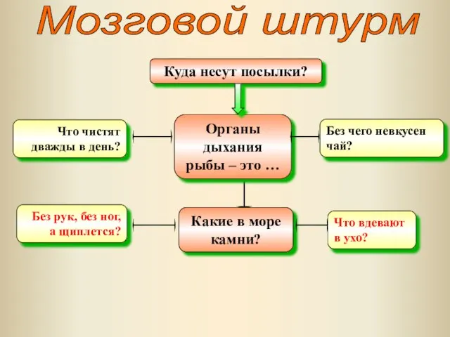 Куда несут посылки? Органы дыхания рыбы – это … Мозговой штурм Что