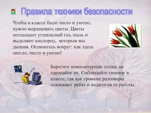 Правила техники безопасности Чтобы в классе было чисто и уютно, нужно выращивать