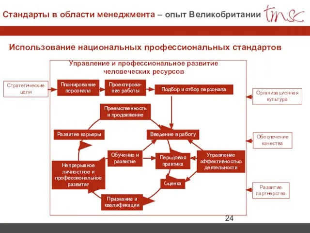 Использование национальных профессиональных стандартов Планирование персонала Подбор и отбор персонала Введение в