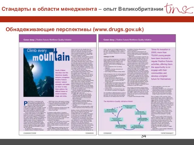 Обнадеживающие перспективы (www.drugs.gov.uk) Стандарты в области менеджмента – опыт Великобритании