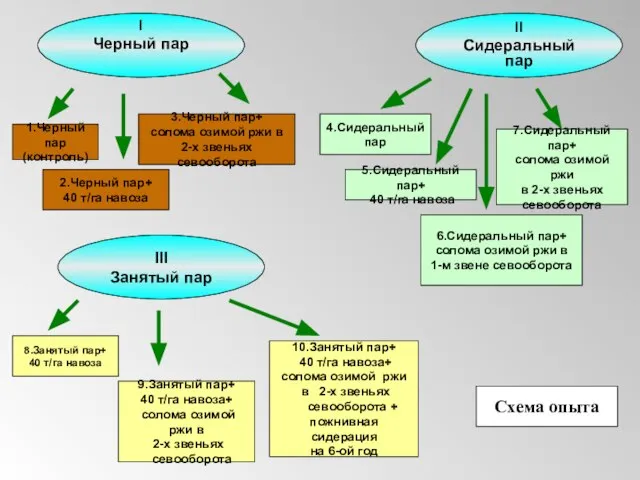 I Черный пар 1.Черный пар (контроль) 2.Черный пар+ 40 т/га навоза 3.Черный