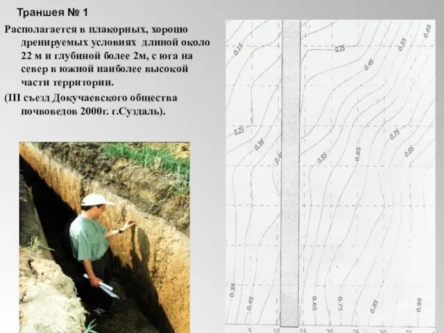 Траншея № 1 Располагается в плакорных, хорошо дренируемых условиях длиной около 22