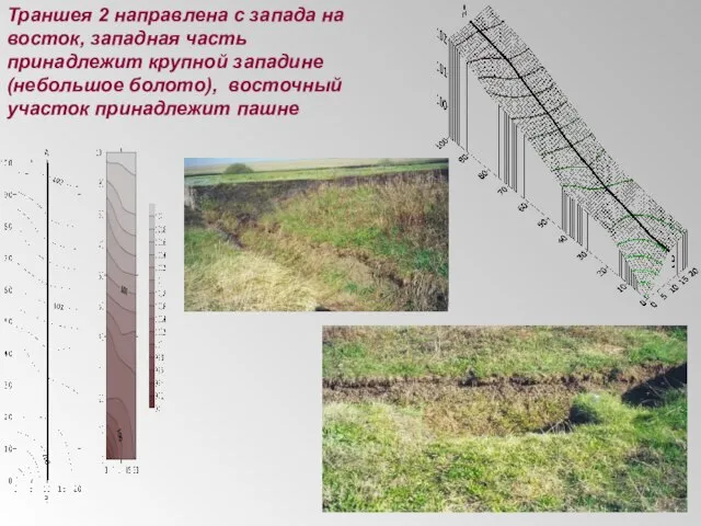 Траншея 2 направлена с запада на восток, западная часть принадлежит крупной западине