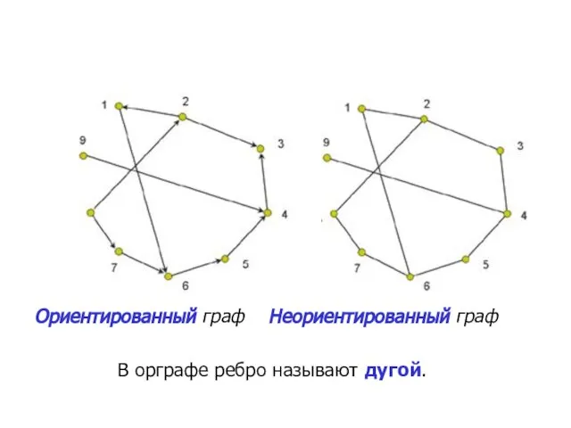 Ориентированный граф Неориентированный граф В орграфе ребро называют дугой.